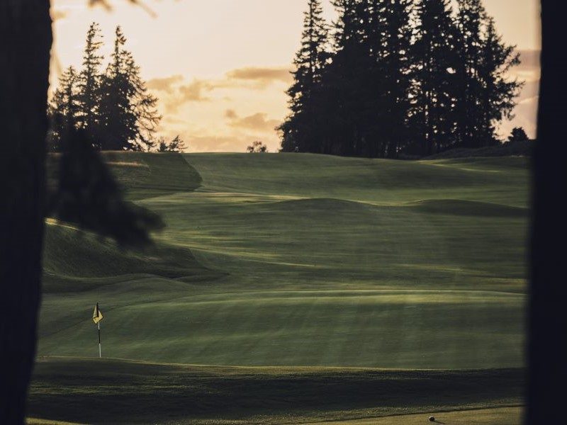 Fairways in evening light